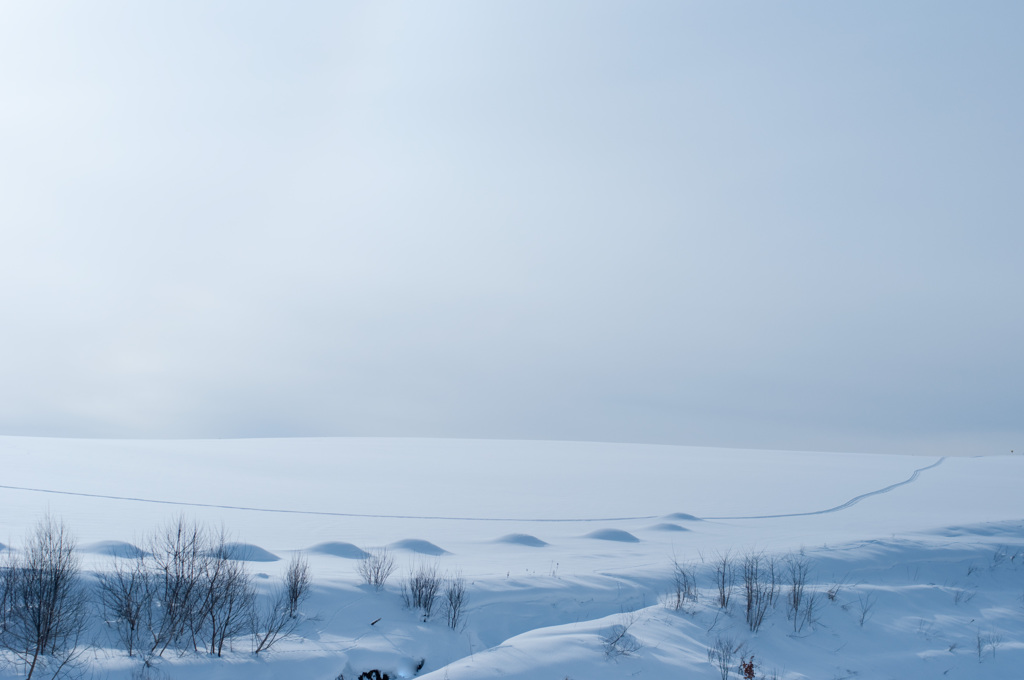 空と雪と　そしてぽこぽこ。