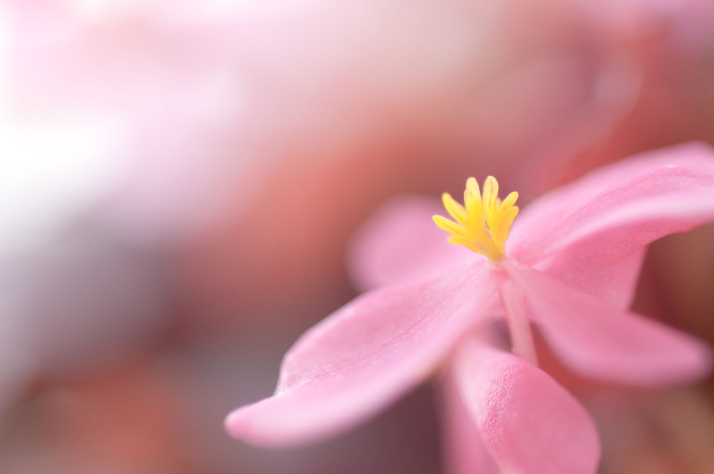 春気分