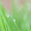 雨の日のhappy
