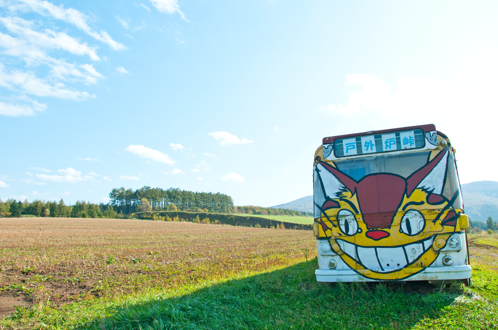 トトロの森でひとやすみ♪