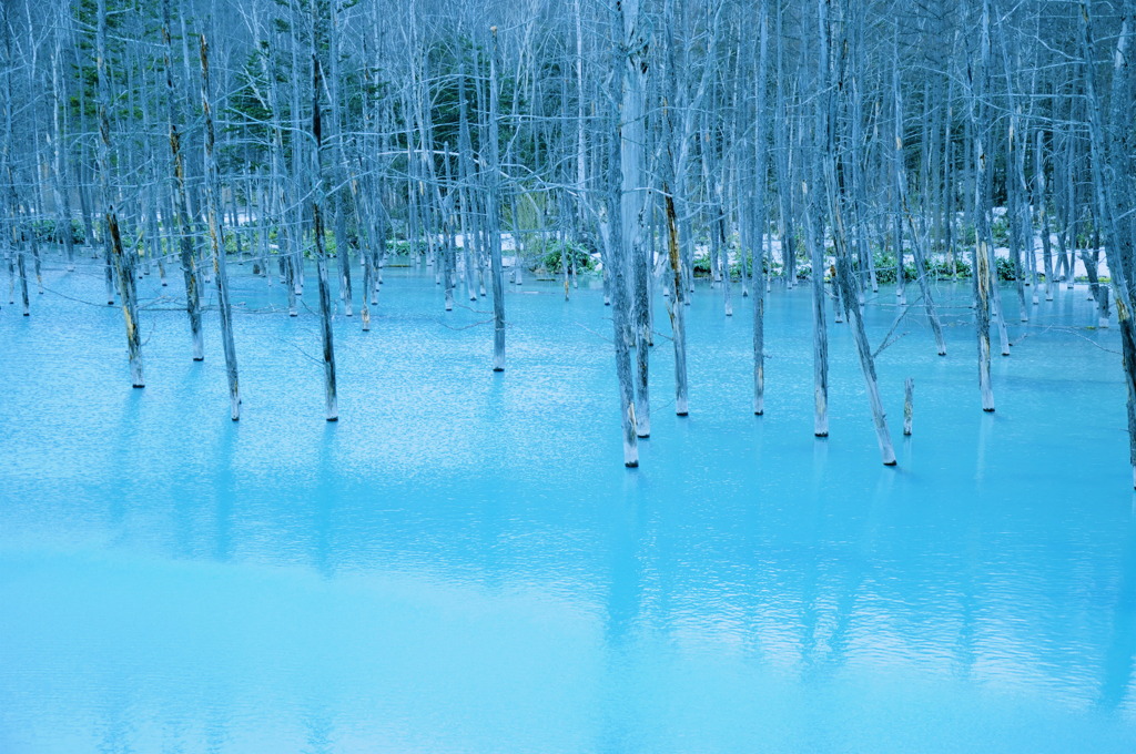 どこまでも続くblue