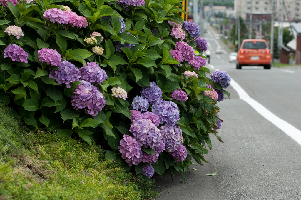 坂道の在る町