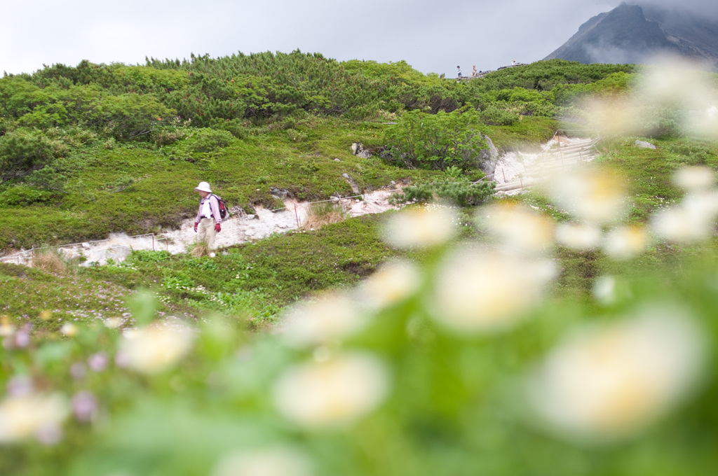 目指すはベテラン山ガール♪