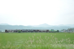 のんびり旅