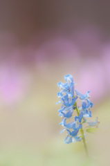 漂う蜃気楼のように