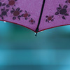 雨粒