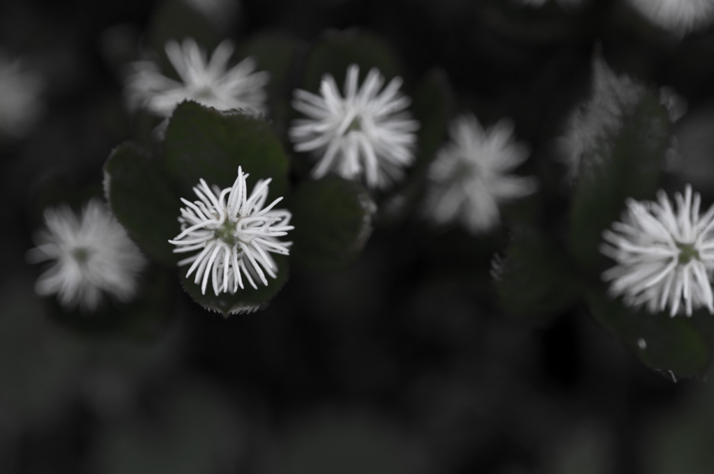 ともだち