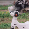 遊んで欲しいな