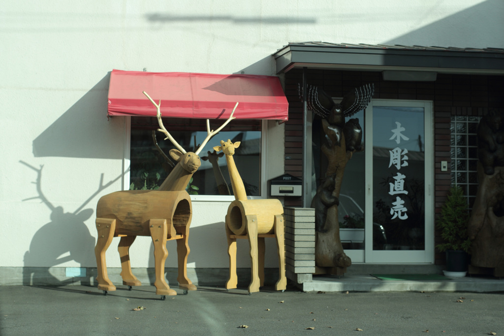僕たちに乗ってみる？