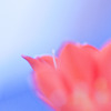 青のイメージ