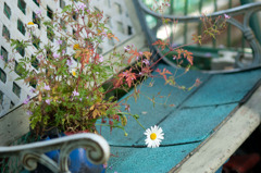 a garden chair