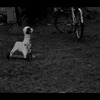 忘れ去られて