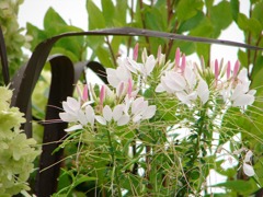 DSC02030