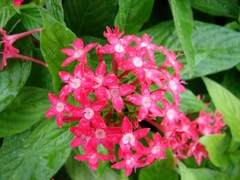 DSC01997