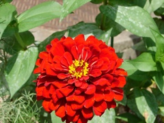 DSC01968