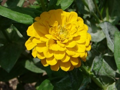 DSC01967