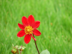 DSC02029