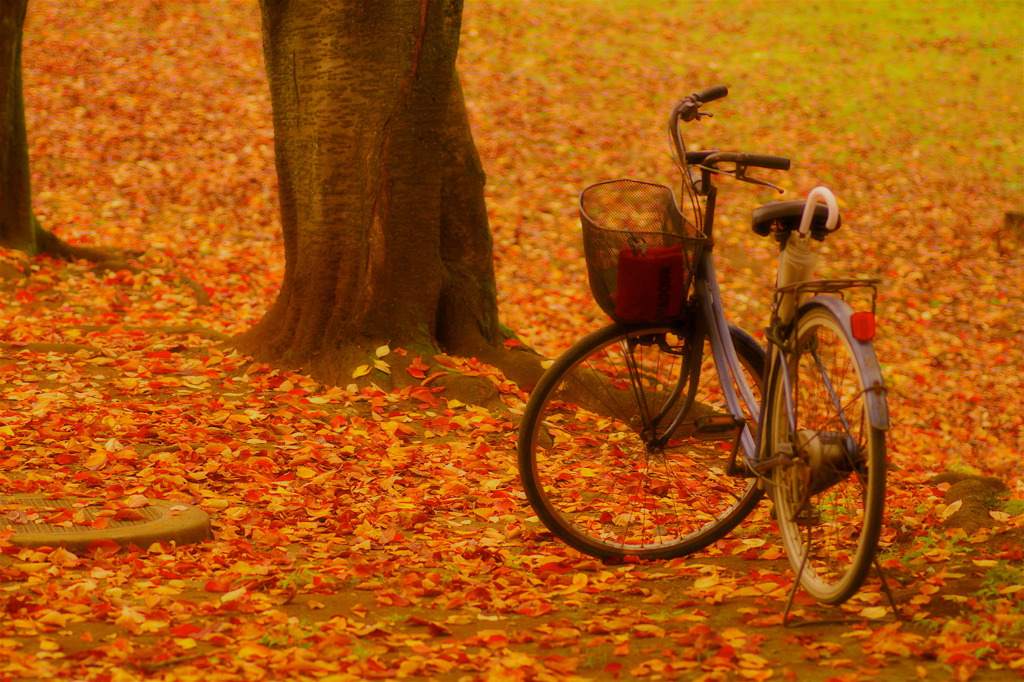 自転車