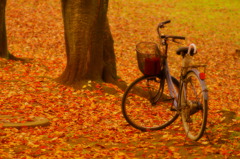 自転車