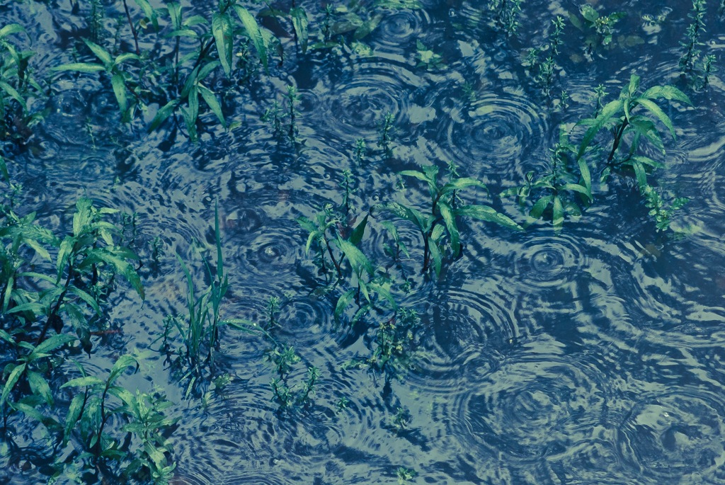 雨音