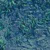 雨音
