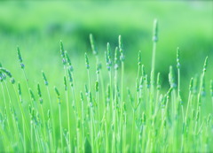 もうすぐだね☆