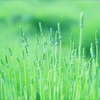 もうすぐだね☆