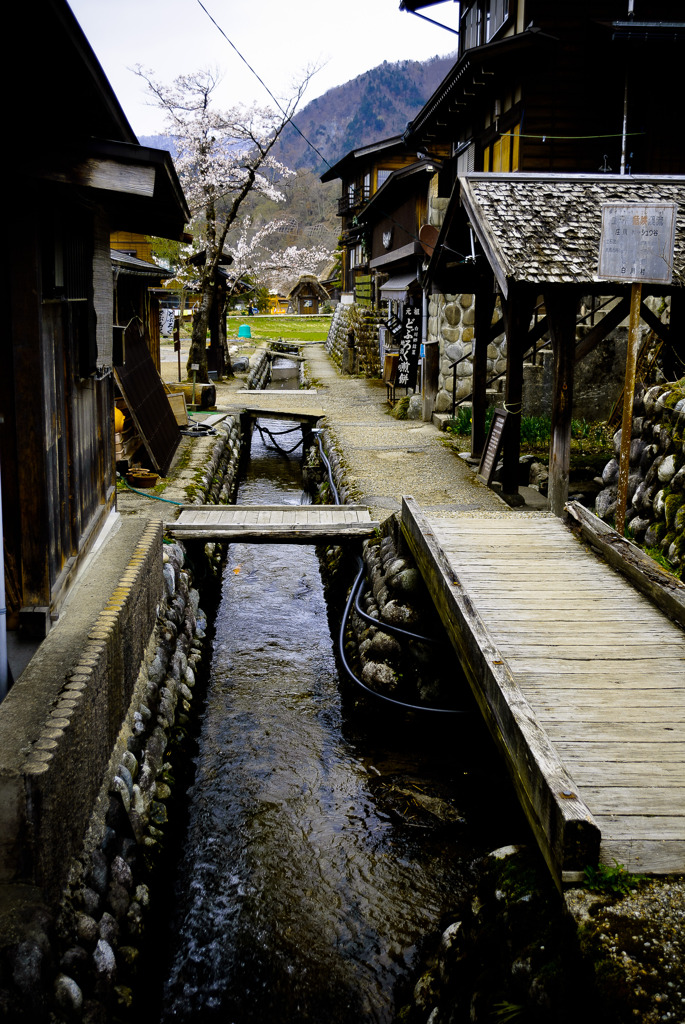 裏の水路