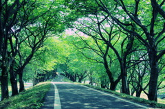 サイクリングロード