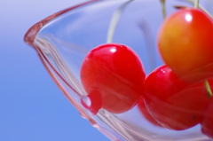 吸いつくサクランボ