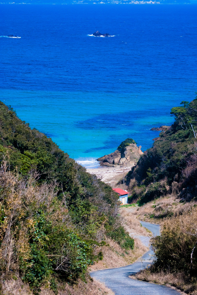 坂の下の海