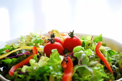 Fresh☆Salad