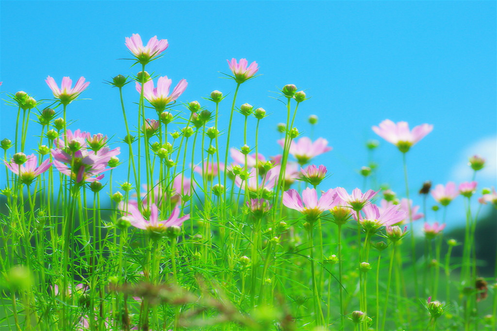 すっくと☆