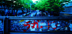 Graffiti☆