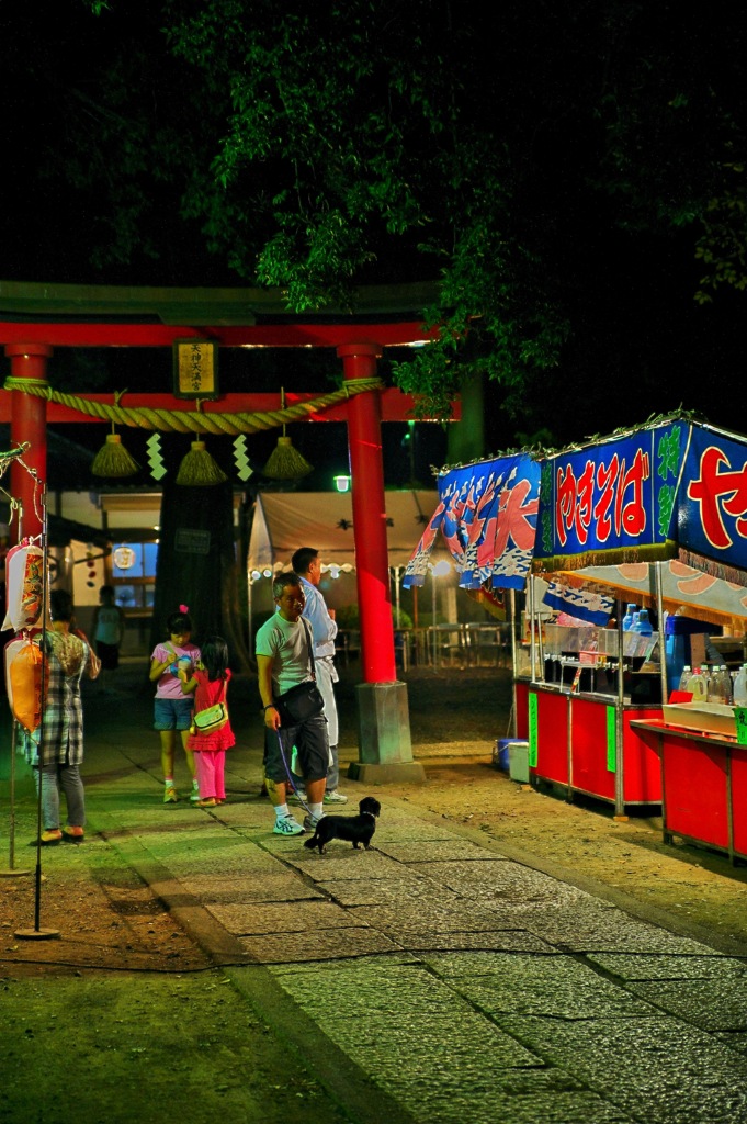 夏の夜
