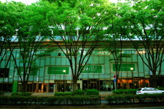 緩やかな坂道