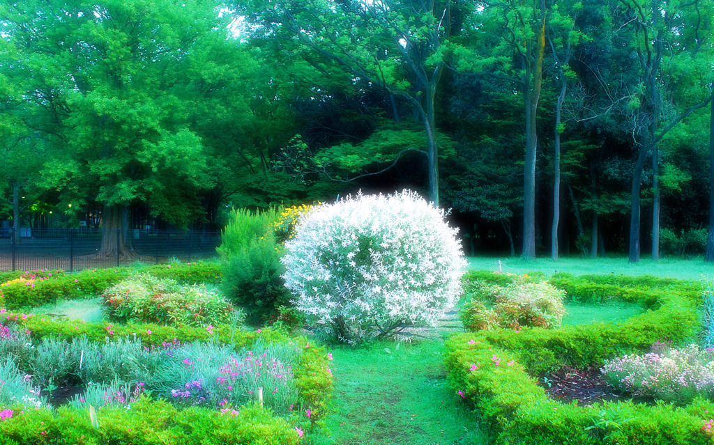 森の花壇