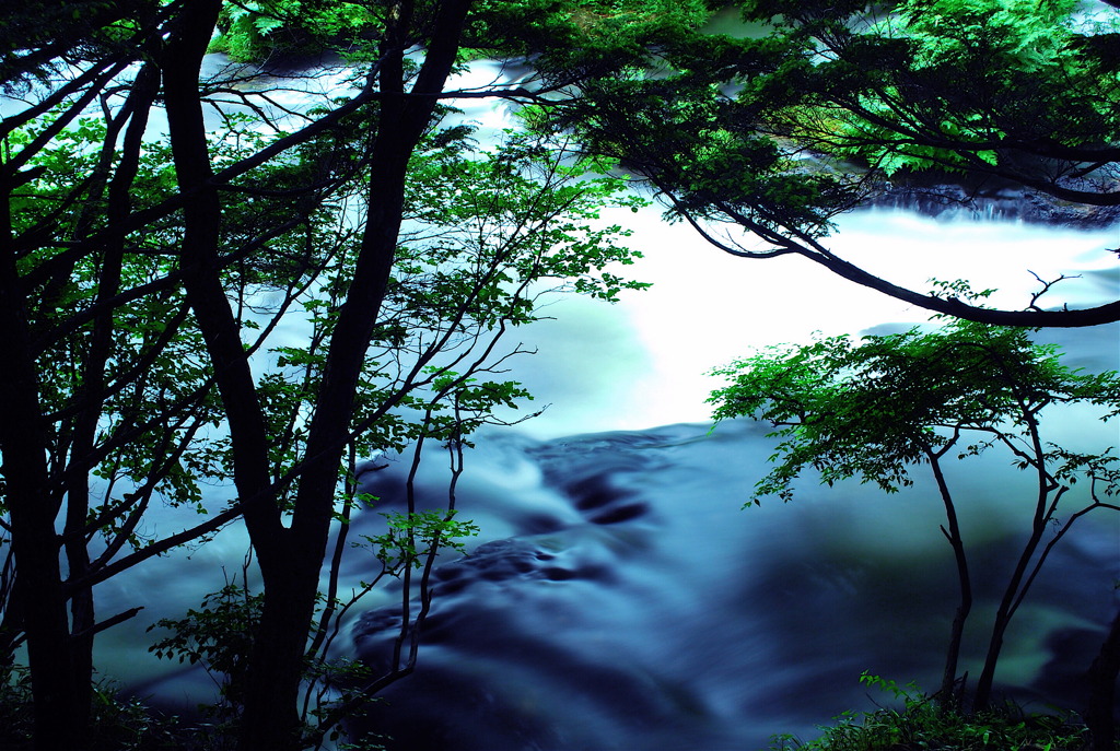 涼流