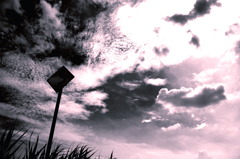 Road Sign←