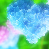 Blue Heart♡
