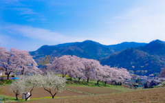 春の山里