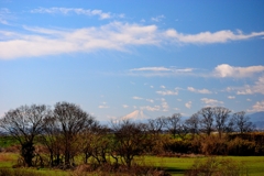 初富士は埼玉からw