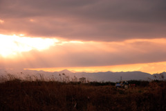 夕焼けトラクター