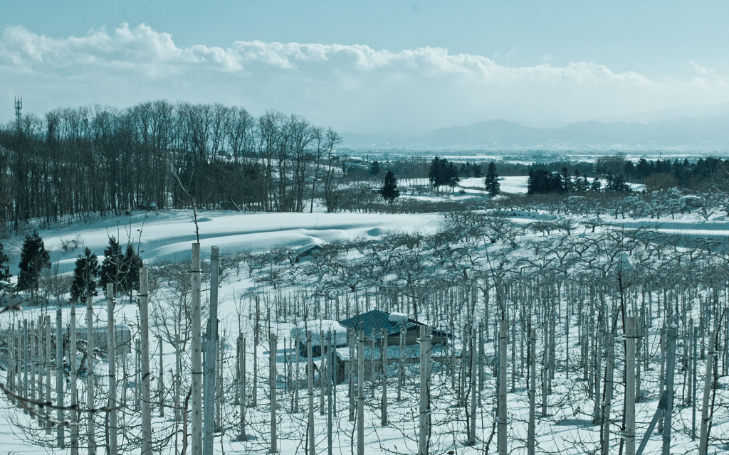 アップル・ヒル