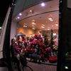 12月のサイドミラー
