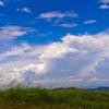 夏の風