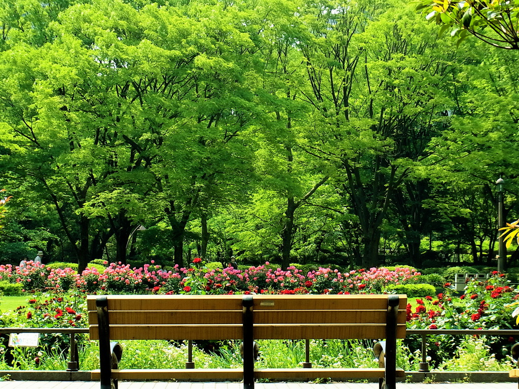 ベンチのある風景