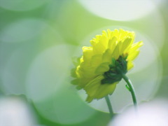 陽気に包まれて