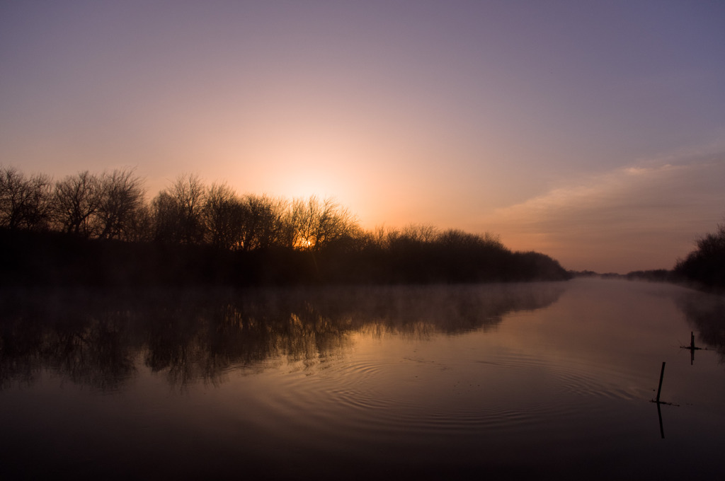 はじまりの波紋