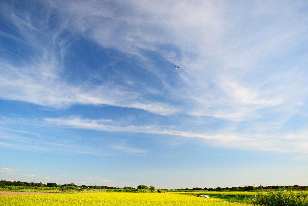 跳べ模型ヒコーキ
